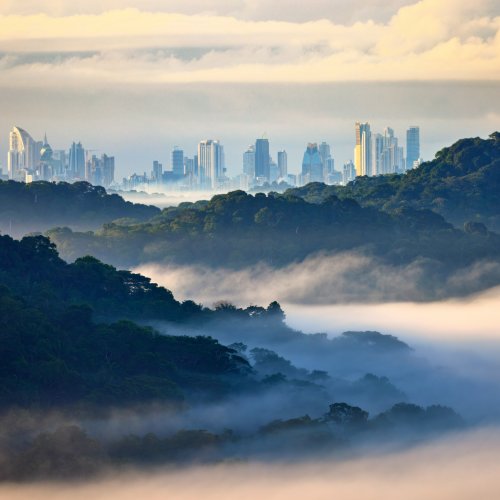 Фотография Фотогалерея