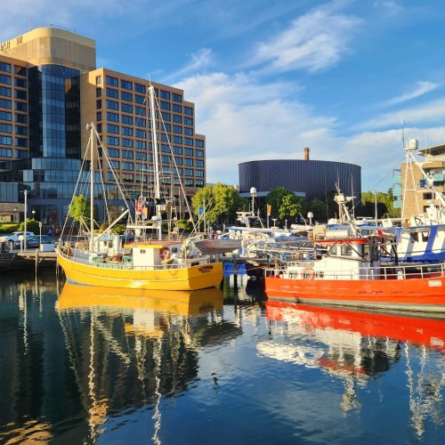 Фотография Фотографии