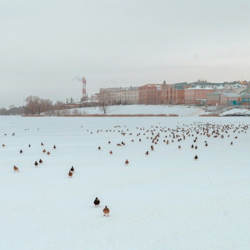 Фотография Фотографии