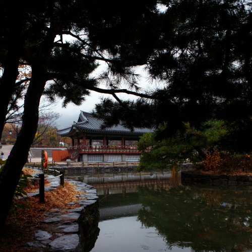 Фотография Фотографии