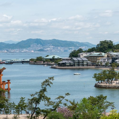 Фотография Фотографии