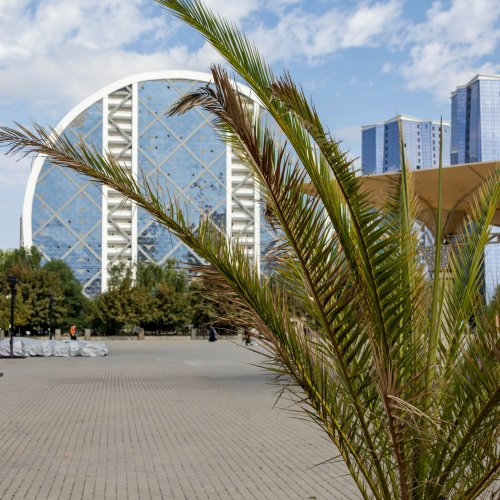 Фотография Фотографии