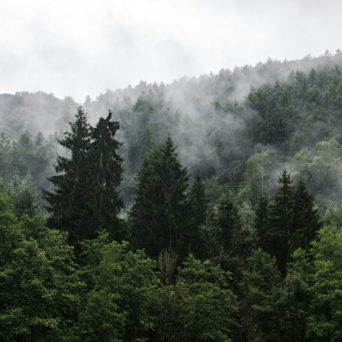 Фотография Арденнские леса и долина реки Урт