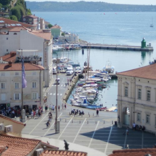 Фотография Фотографии