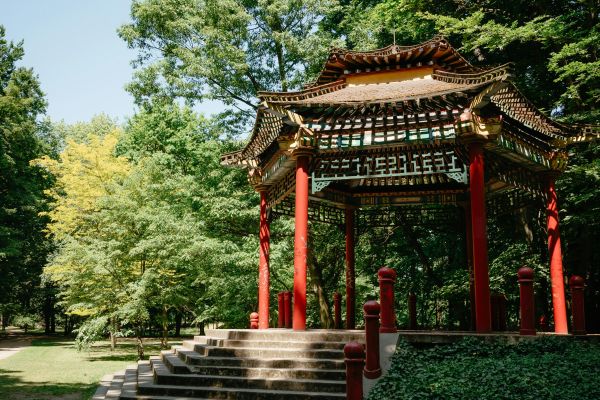 Фотография Фотографии