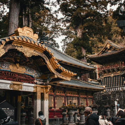 Фотография Фотографии