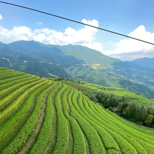 Фотография Фотографии