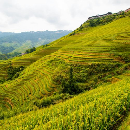 Фотография Фотографии