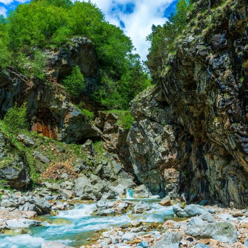 Фотография Фотографии