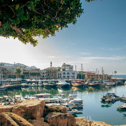 Фотография Фотогалерея