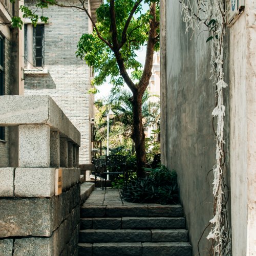 Фотография Фотографии