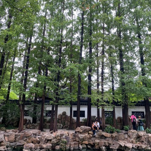 Фотография Сад Юйюань (Юйюань) — классический китайский сад в сердце Шанхая