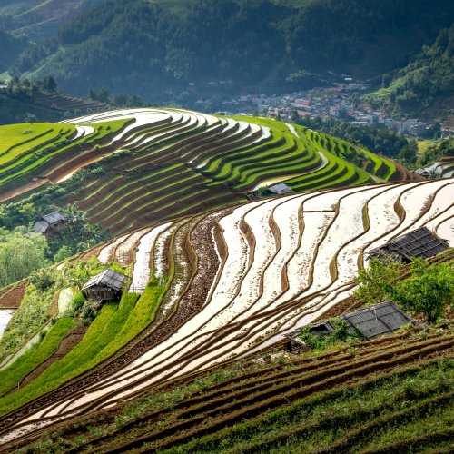 Фотография Фотографии