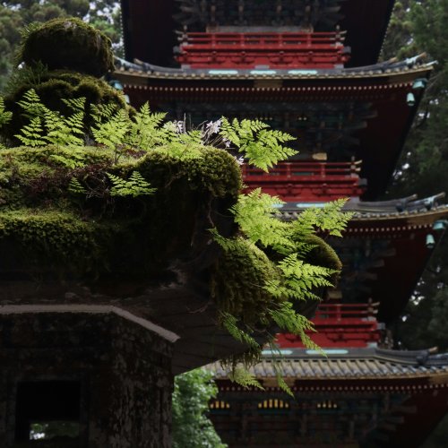 Фотография Святилище Тосёгу (Nikkō Tōshō-gū)