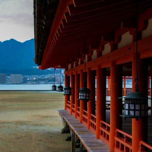 Фотография Фотографии