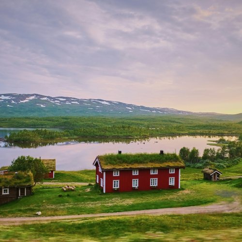 Фотография Фотогалерея