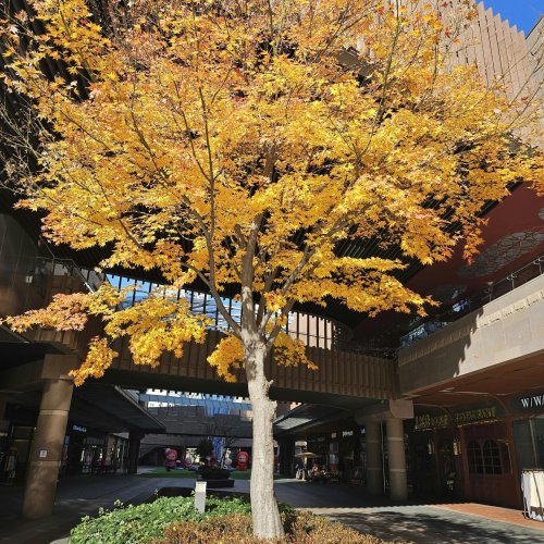 Фотография Фотографии