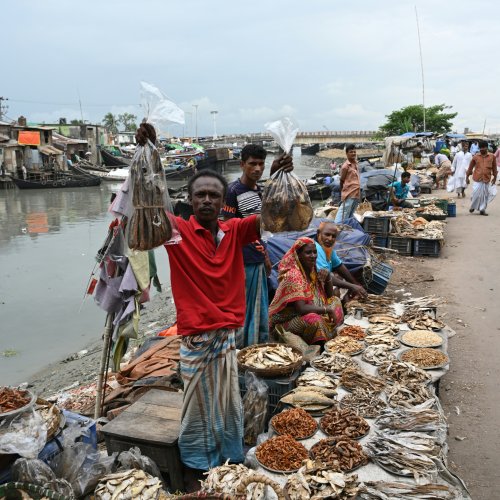 Фотография Фотографии