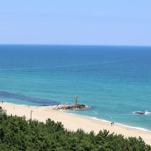 Фотография Фотографии