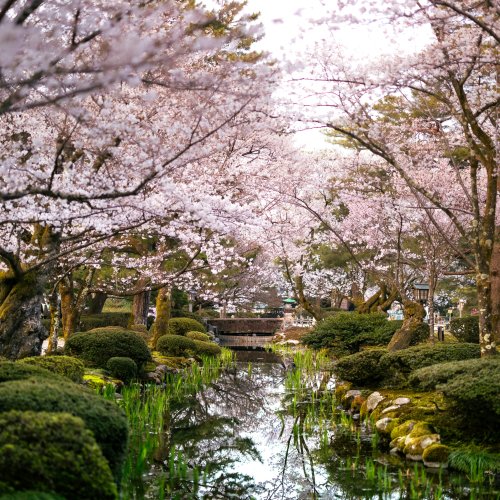 Фотография Фотографии