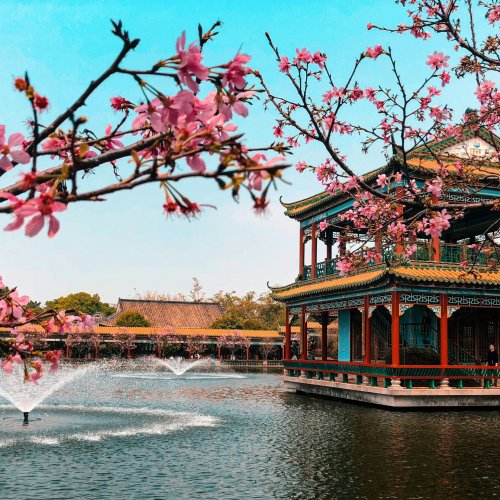 Фотография Фотографии