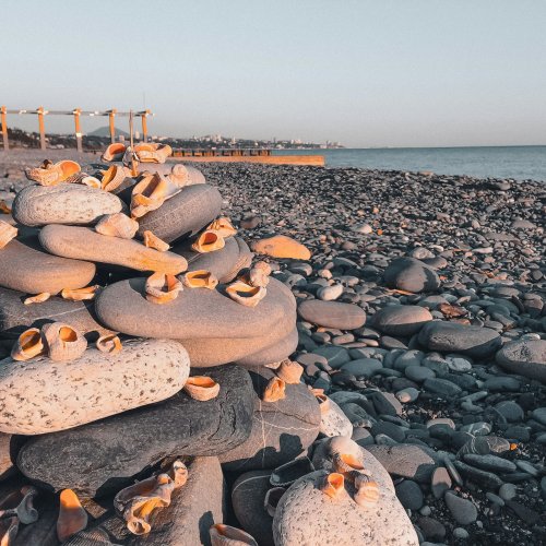 Фотография Фотографии