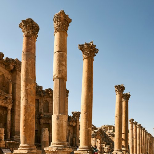 Фотография Фотографии