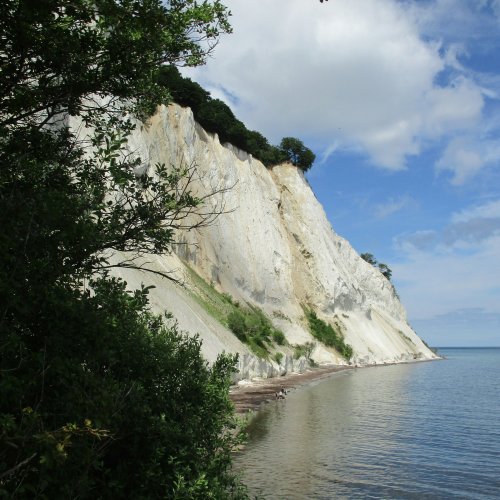 Фотография Фотографии