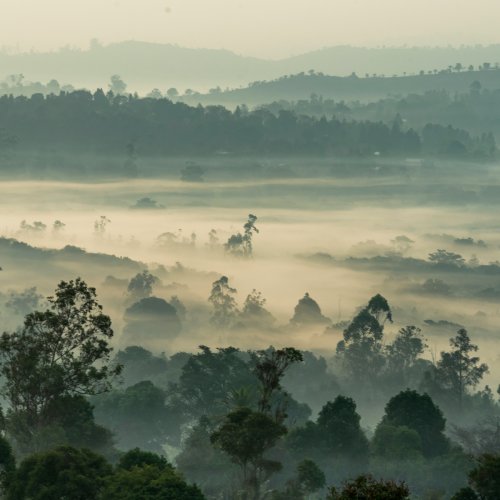 Фотография Фотогалерея