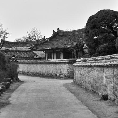 Фотография Фотографии