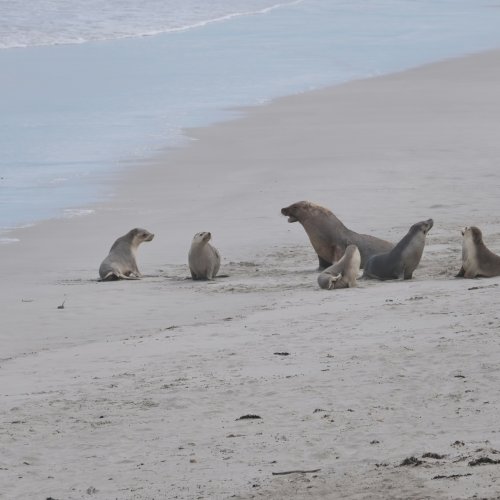 Фотография Фотографии