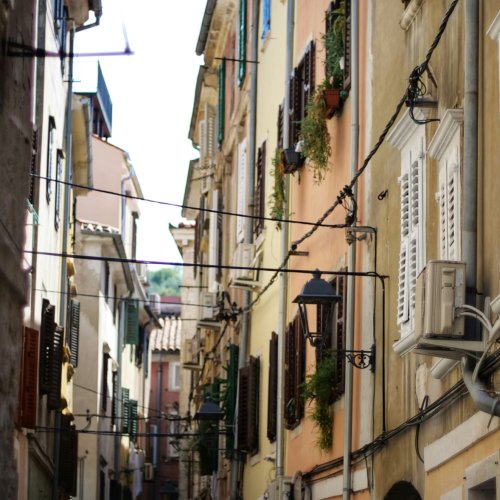 Фотография Фотографии