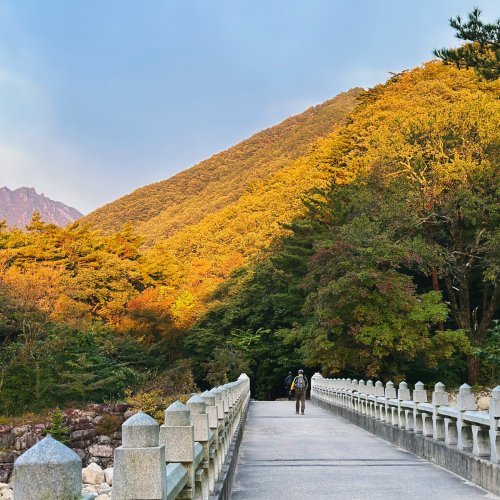 Фотография Фотографии