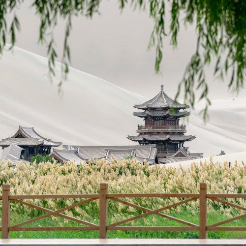 Фотография Фотографии