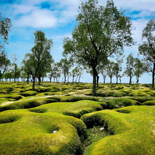 Фотография Фотографии