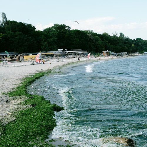 Фотография Фотографии