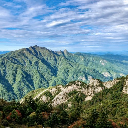 Фотография Фотографии