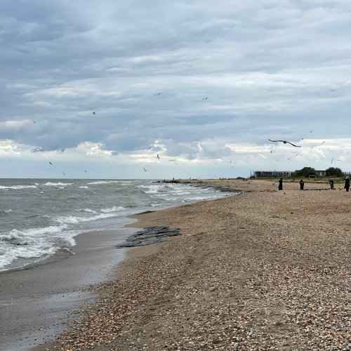 Фотография Фотографии