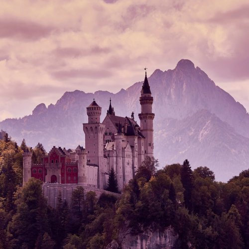 Фотография Фотографии