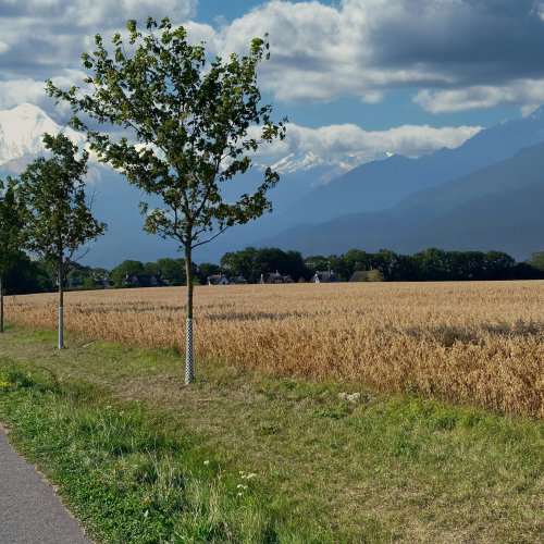 Фотография Фотографии