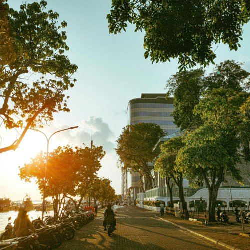 Фотография Фотографии