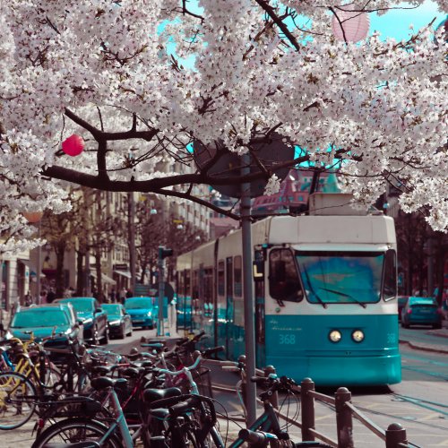 Фотография Фотографии