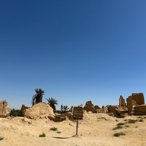 Фотография Фотографии