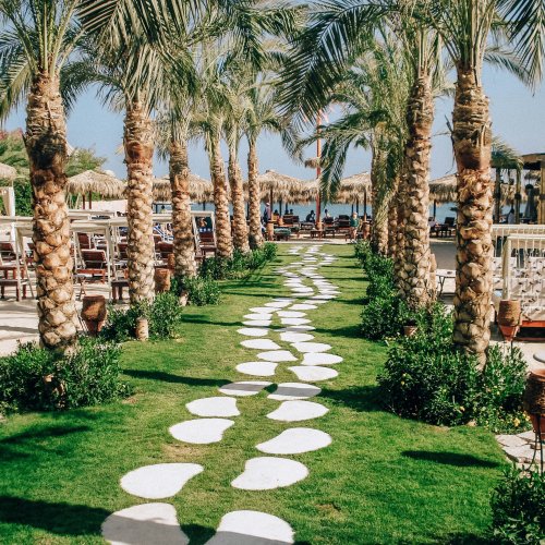 Фотография Фотографии