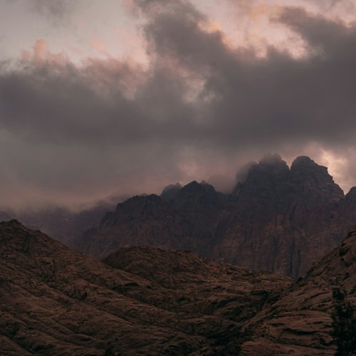 Фотография Фотографии